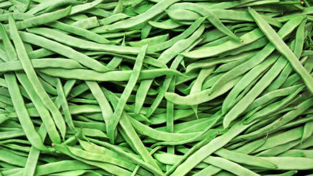 Tiroidinizi çalıştırmak için iyot açısından zengin 20 besin