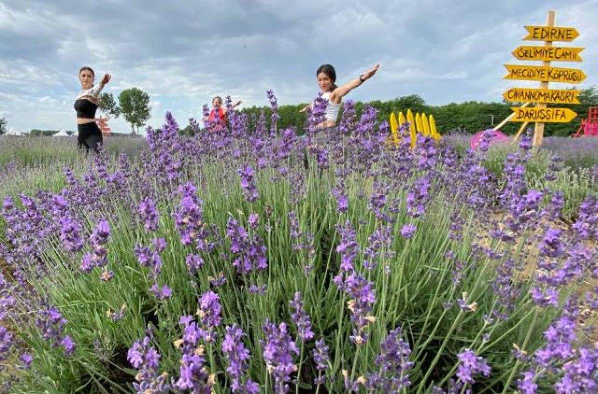 Edirneli ressamlar mor lavanta tarlalarını çizdi