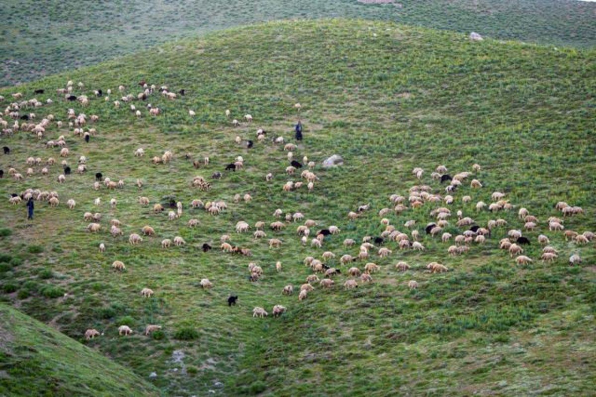 Terörden arınan Tunceli huzura kavuştu, doğal güzellikleri ortaya çıktı