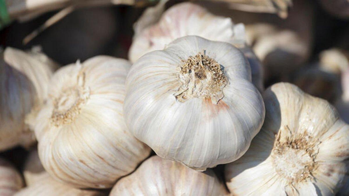 Tiroidinizi çalıştırmak için iyot açısından zengin 20 besin