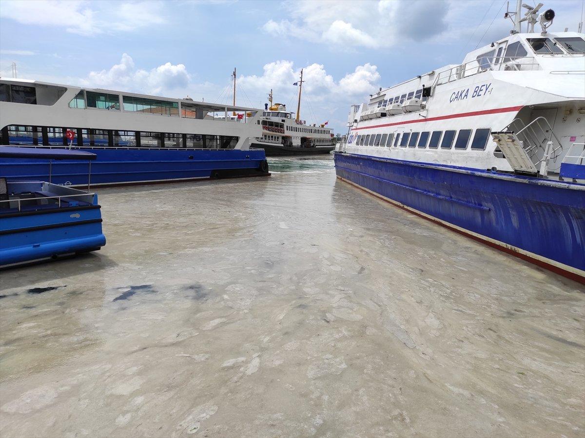 Caddebostan sahilinde yeniden müsilaj yoğunluğu oluştu