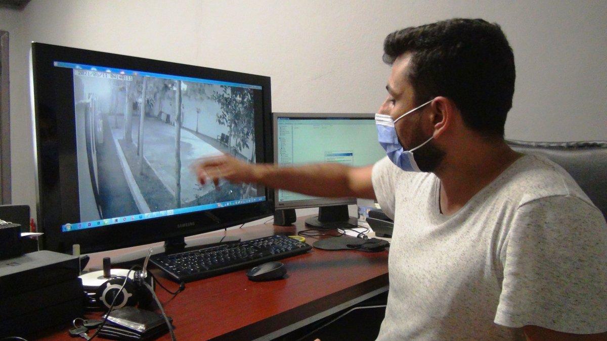 Şanlıurfa’da bahçeye giren hırsız, bıldırcın kuşlarını çaldı