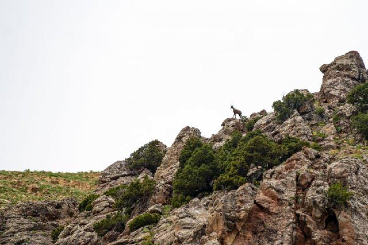 Terörden arınan Tunceli huzura kavuştu, doğal güzellikleri ortaya çıktı