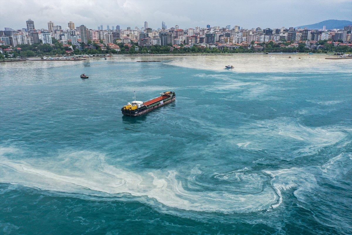 Caddebostan sahilinde yeniden müsilaj yoğunluğu oluştu