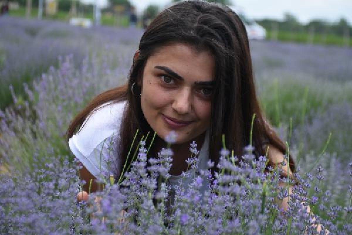 Edirne'de mor tarlalar festival alanına döndü