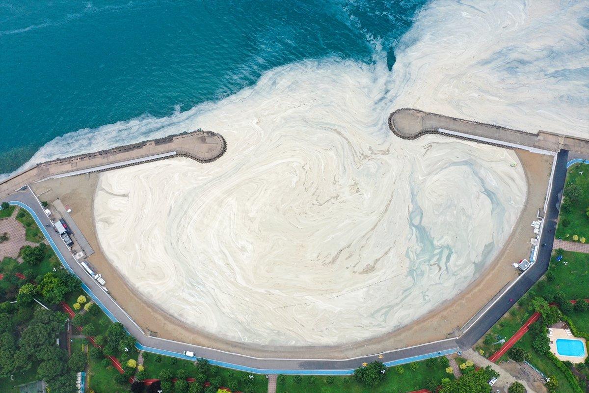 Caddebostan sahilinde yeniden müsilaj yoğunluğu oluştu