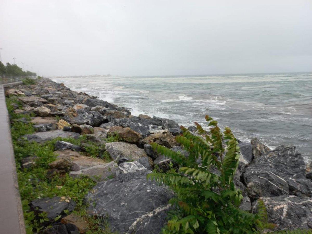 Marmara'da etkili olan lodos, müsilajı kıyıya taşıdı