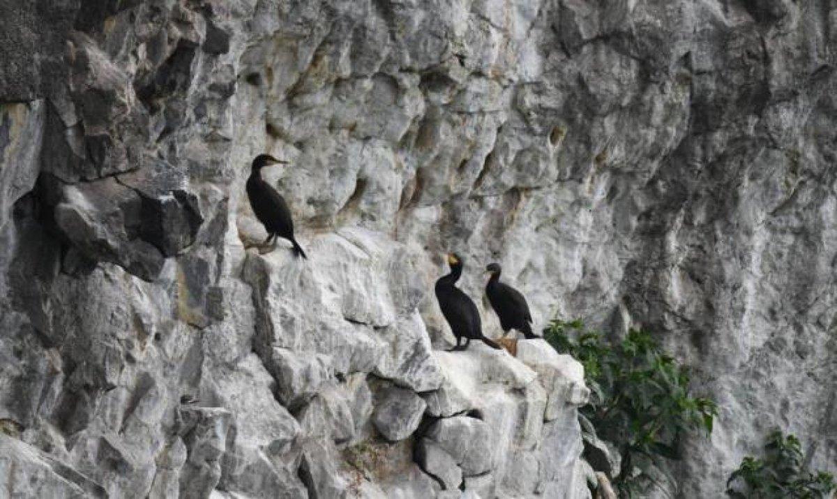 Ordu'da bulunan Hoynat Adası ziyaretçi akınına uğruyor