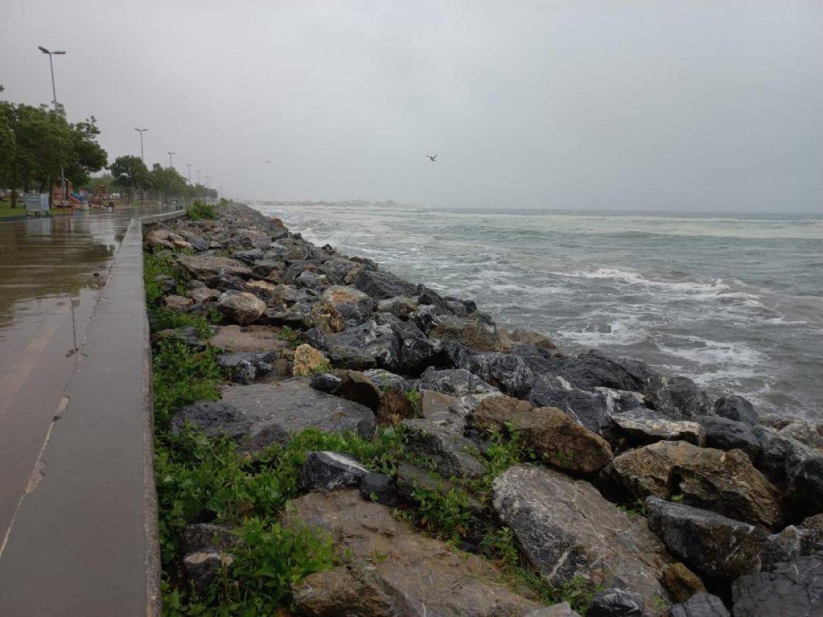 Marmara'da etkili olan lodos, müsilajı kıyıya taşıdı