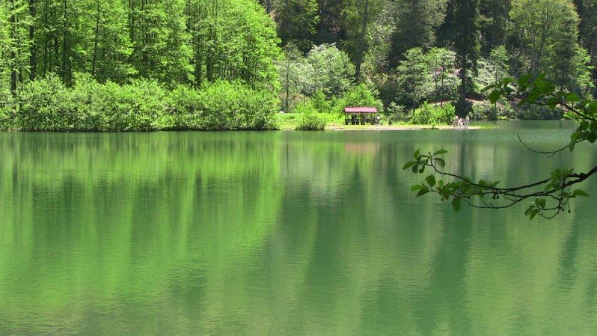 Borçka Karagöl Tabiat Parkı'na ziyaretçi akını