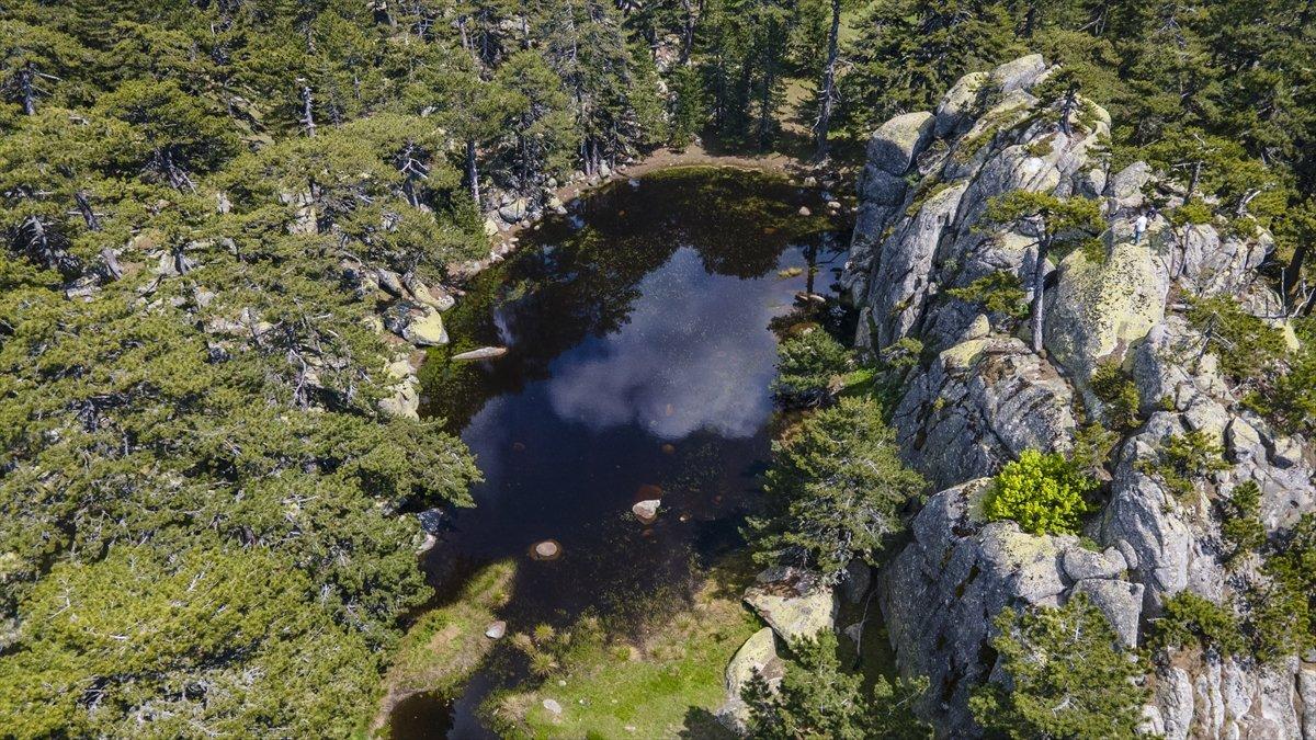 Kütahya’nın saklı cenneti, Eğrigöz Dağı zirvesinde keşfedilmeyi bekliyor