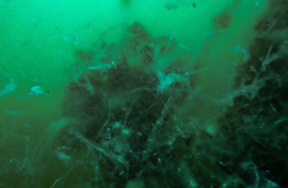 Marmara Denizi dibindeki yoğun müsilajın son durumu