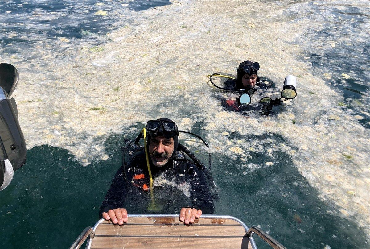 Marmara Denizi dibindeki yoğun müsilajın son durumu
