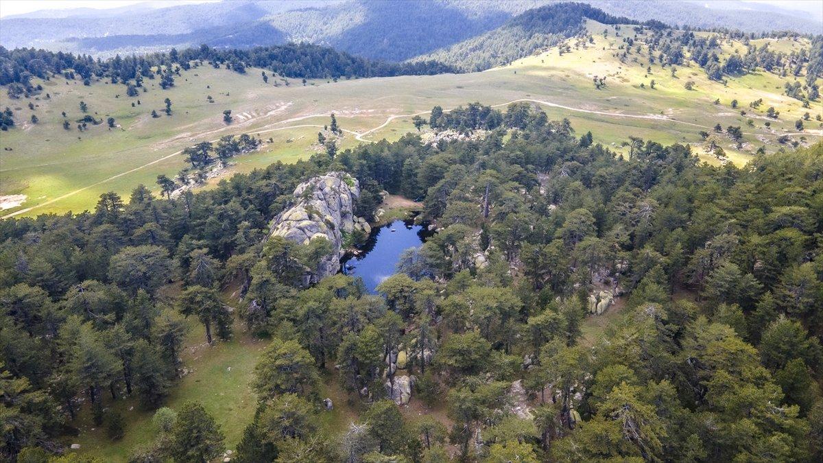 Kütahya’nın saklı cenneti, Eğrigöz Dağı zirvesinde keşfedilmeyi bekliyor