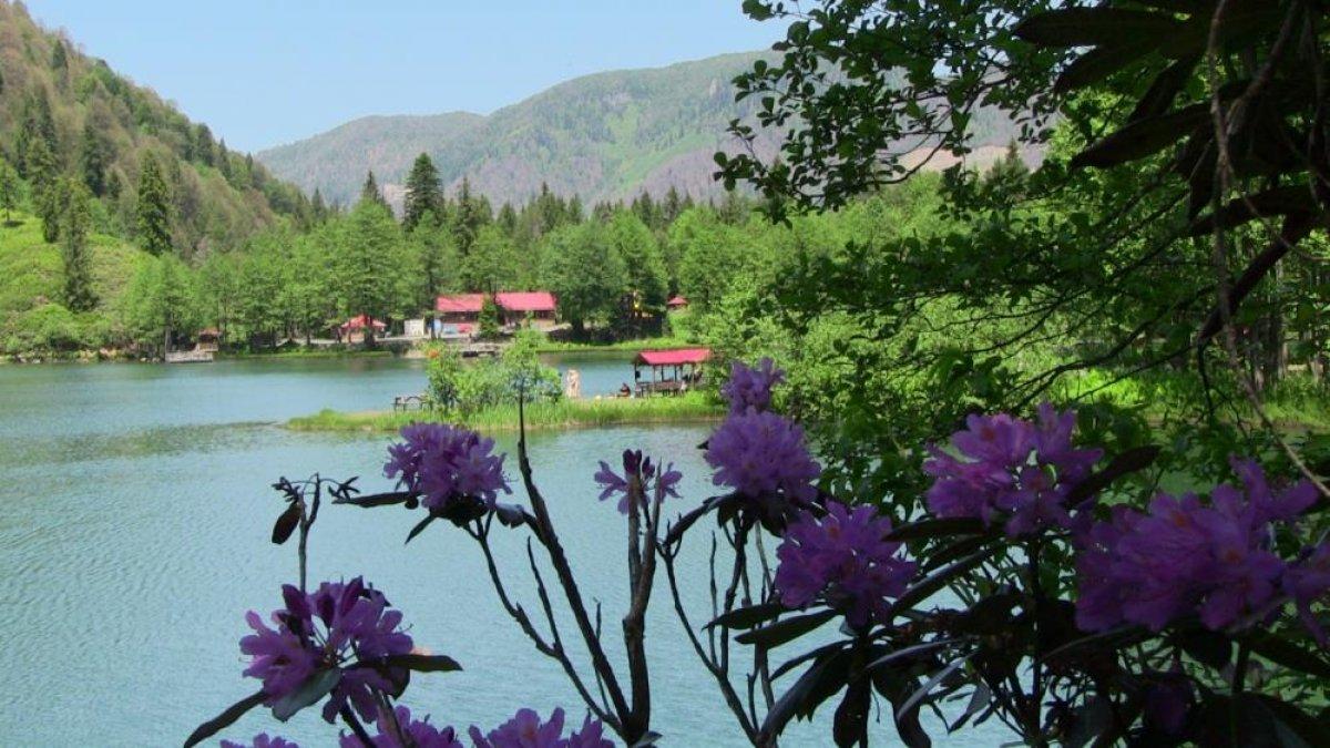 Borçka Karagöl Tabiat Parkı'na ziyaretçi akını