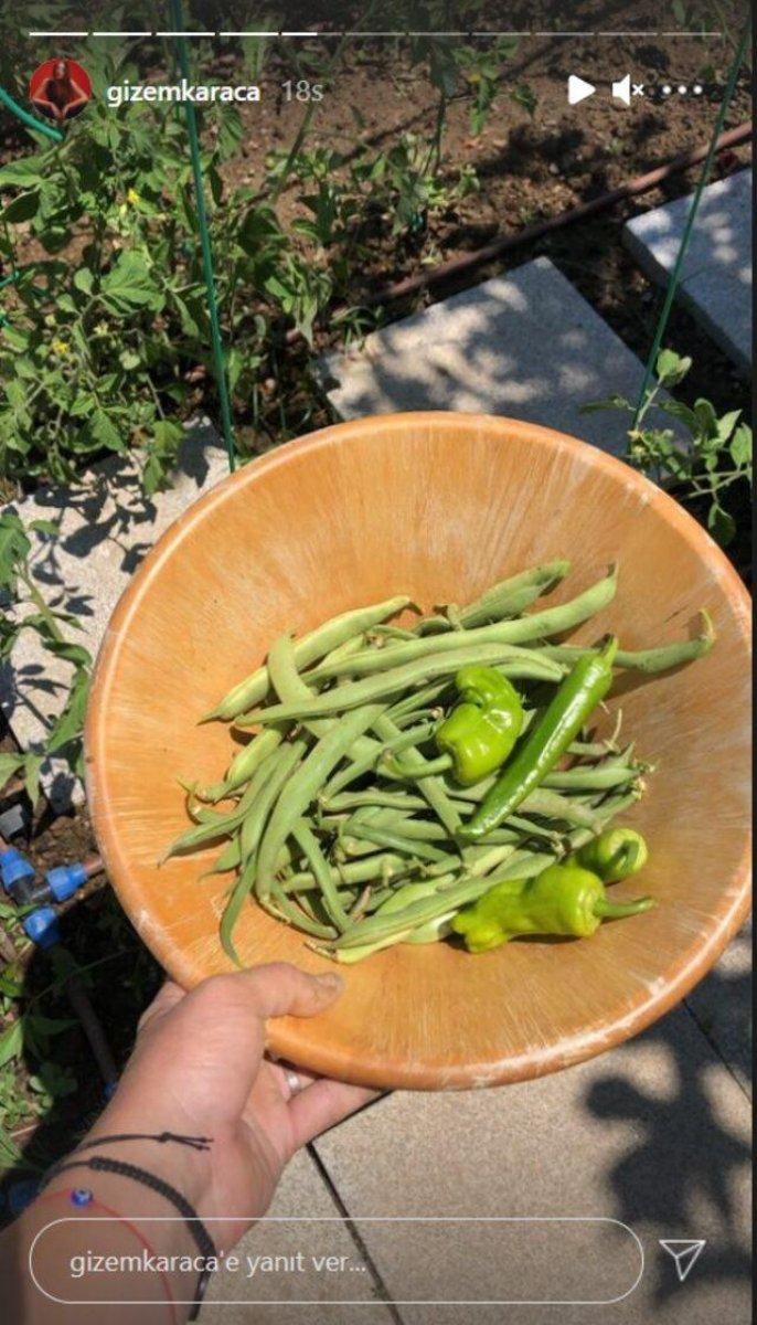 Gizem Karaca, fasulye toplamaya gitti