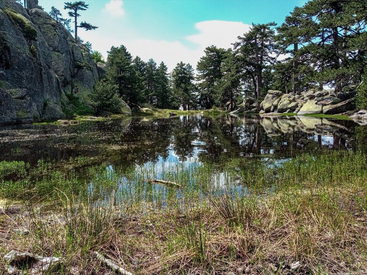 Kütahya’nın saklı cenneti, Eğrigöz Dağı zirvesinde keşfedilmeyi bekliyor