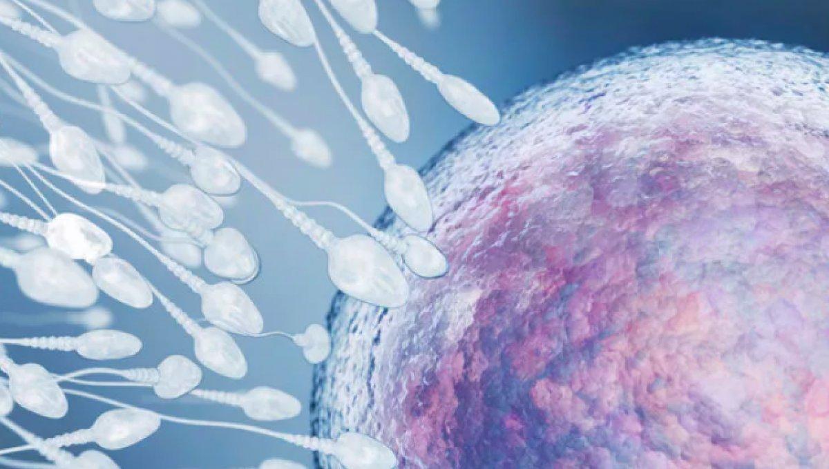 Çin'de kısırlık oranı arttı