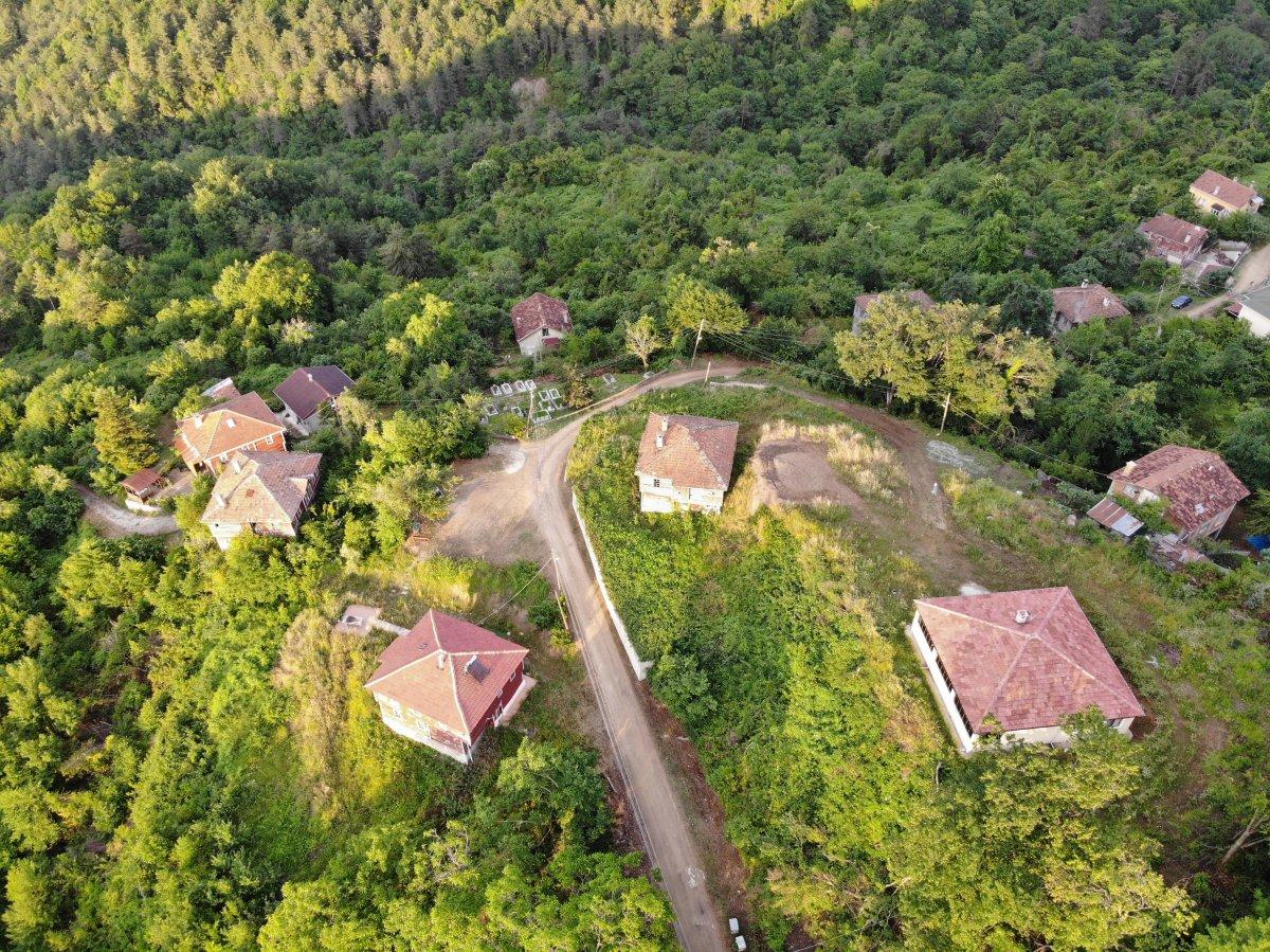 Kastamonu’da ceset yiyen ayı, korkutuyor