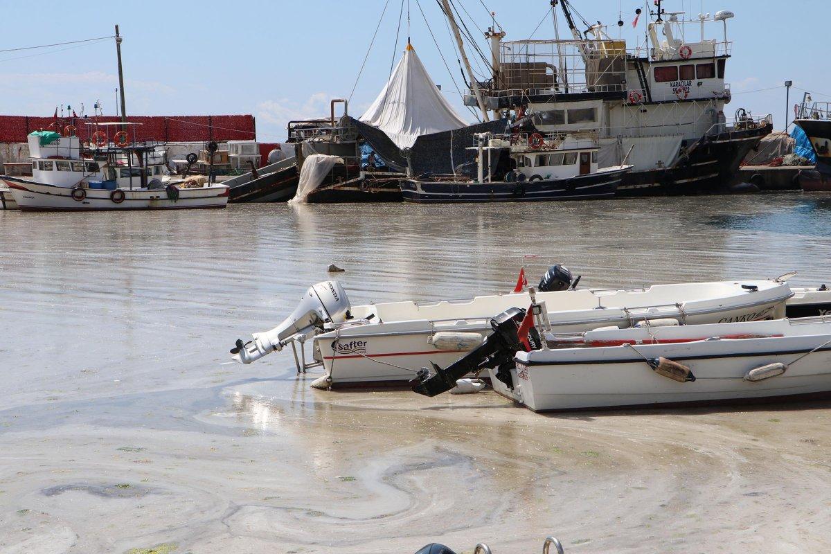 Tekirdağ sahilleri yeniden müsilajla kaplandı
