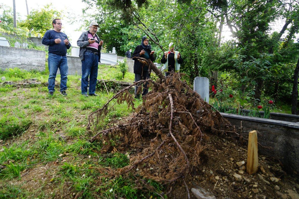 Kastamonu’da ceset yiyen ayı, korkutuyor