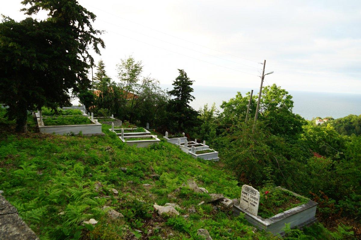 Kastamonu’da ceset yiyen ayı, korkutuyor