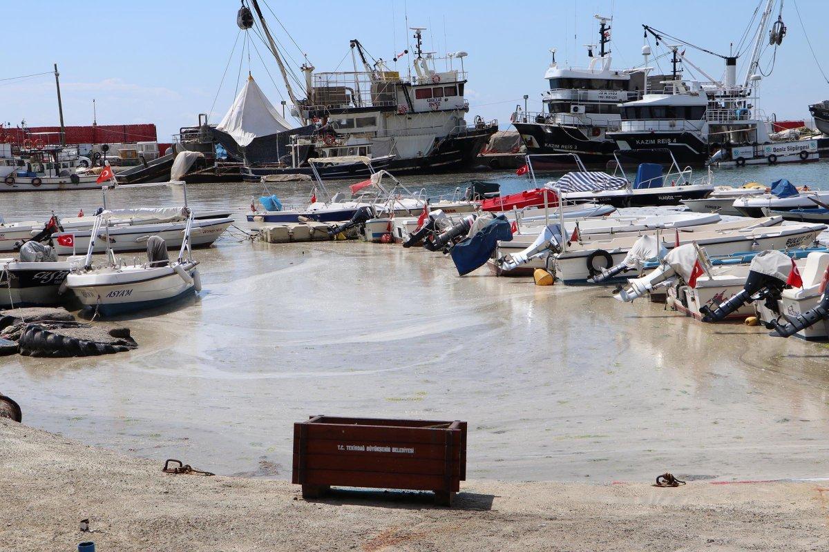 Tekirdağ sahilleri yeniden müsilajla kaplandı