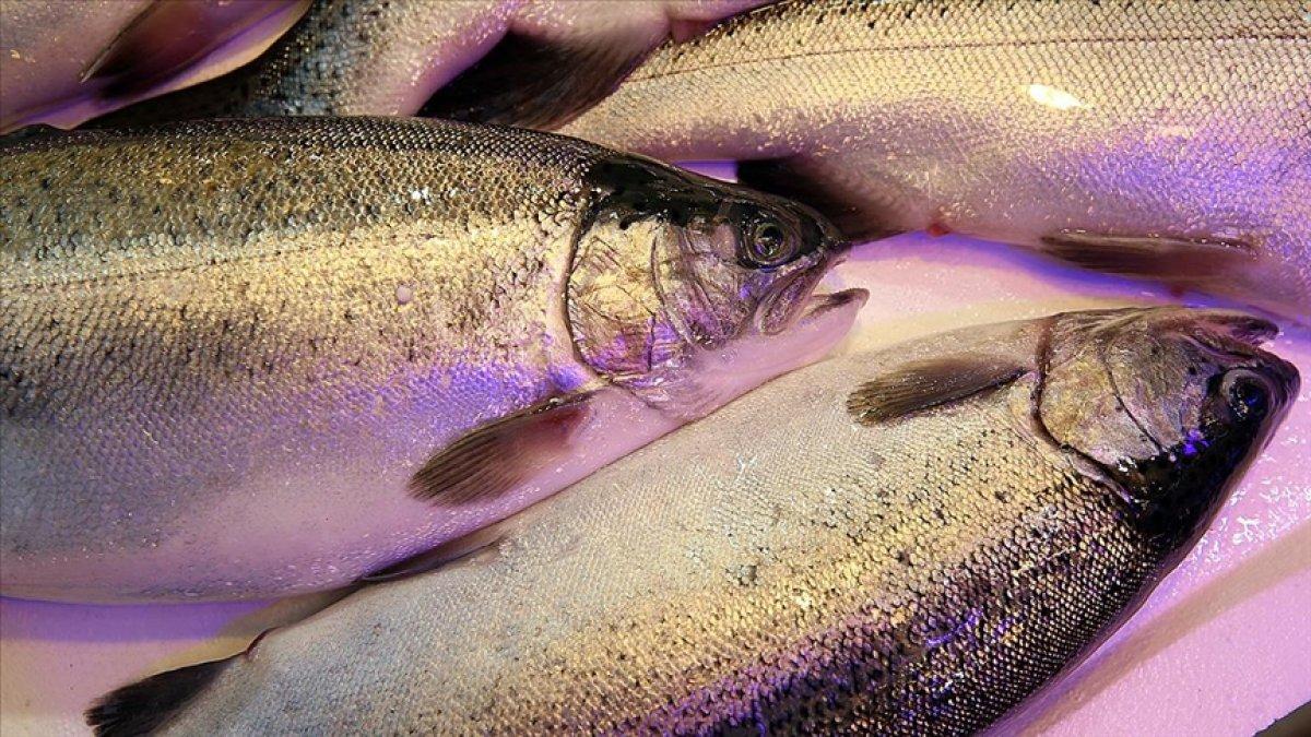 Somon balığının sağlığa faydaları