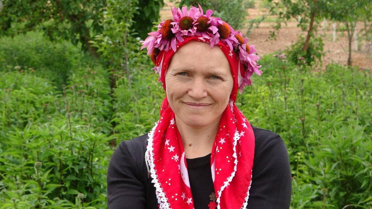 Uşak'ta ekinezya üretimi başladı