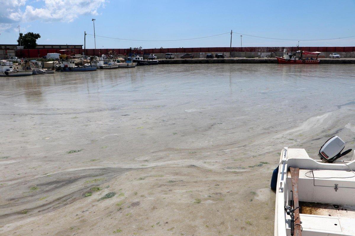 Tekirdağ sahilleri yeniden müsilajla kaplandı