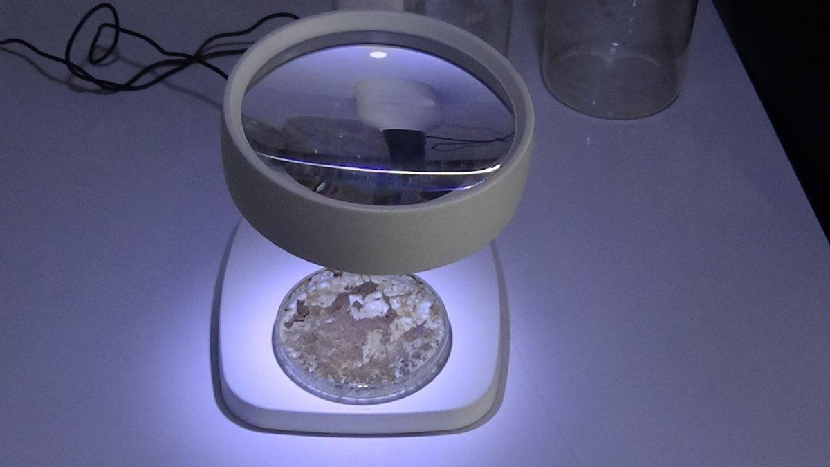 Müsilajdan gübre yapılacak