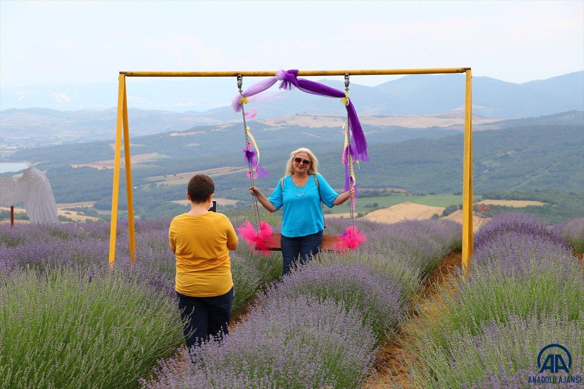 Tekirdağ Lavanta Günleri