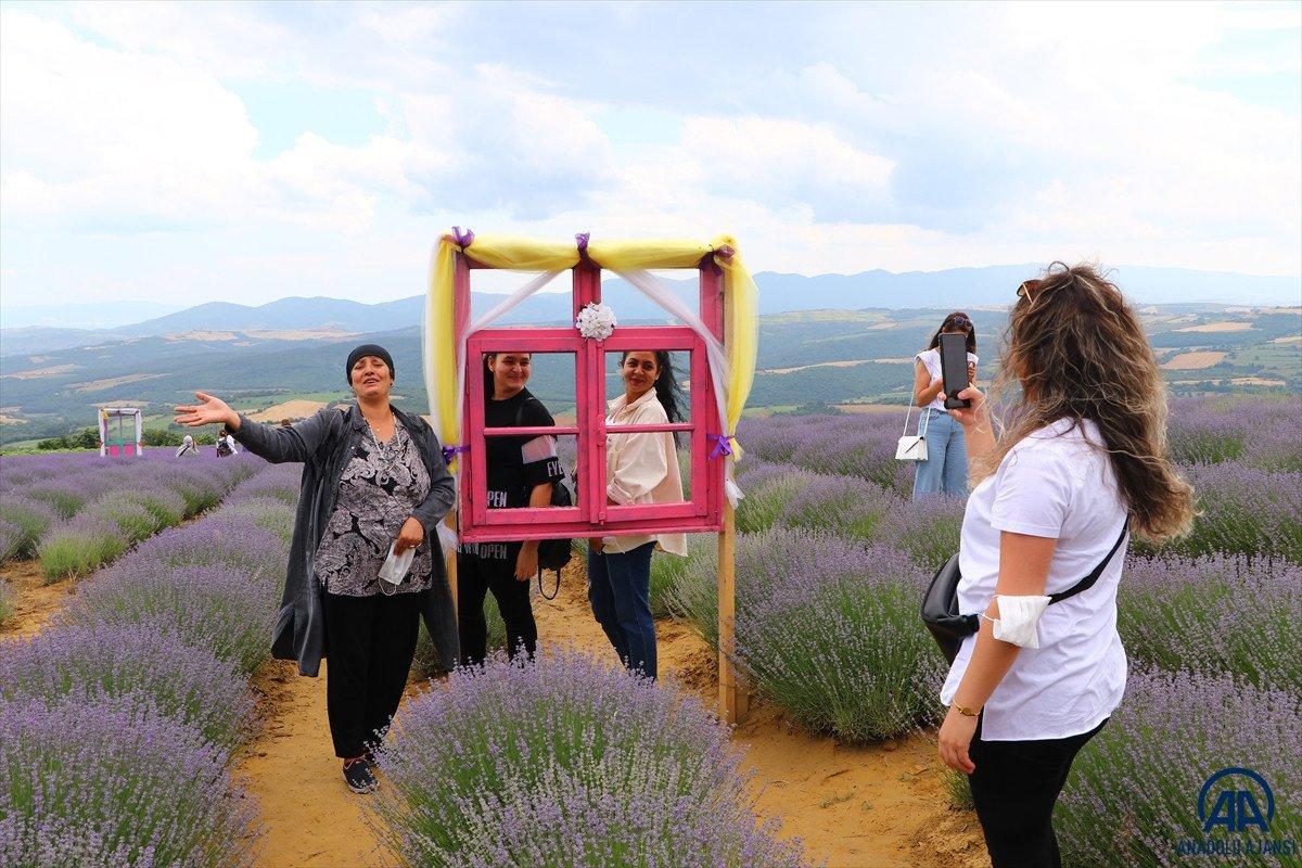 Tekirdağ Lavanta Günleri