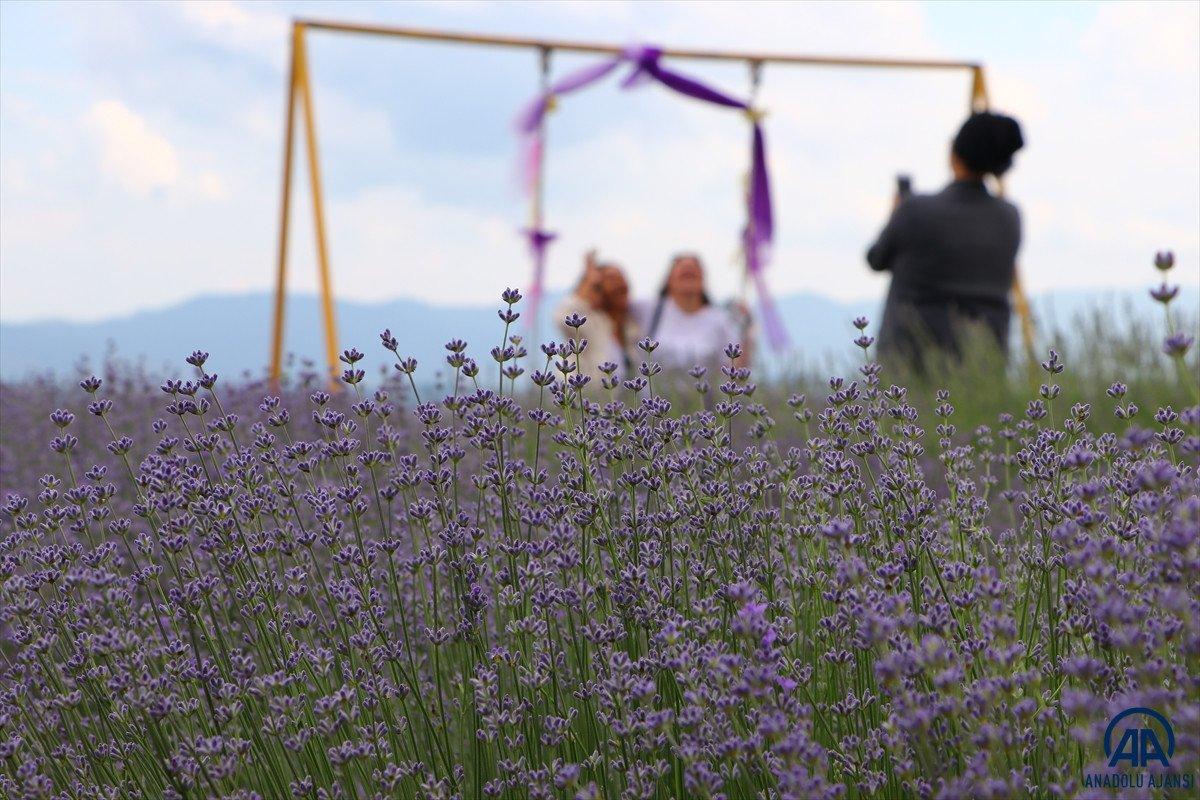 Tekirdağ Lavanta Günleri