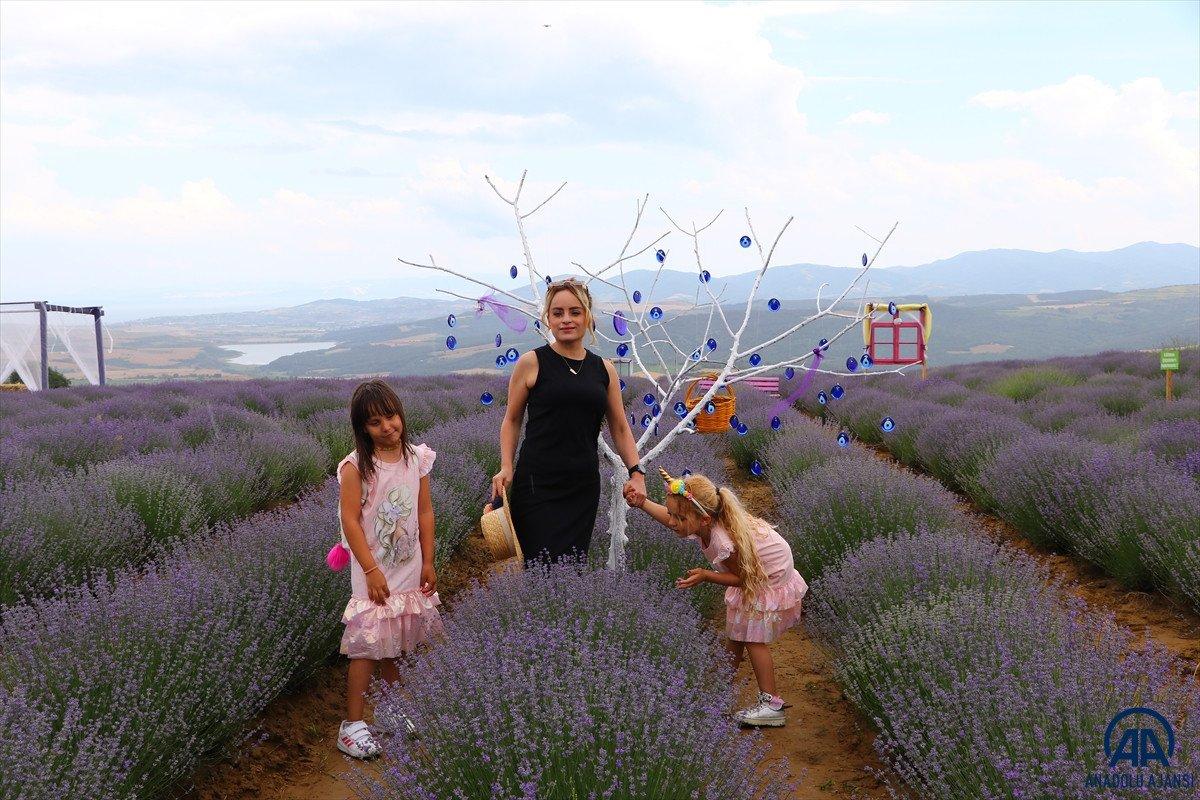 Tekirdağ Lavanta Günleri