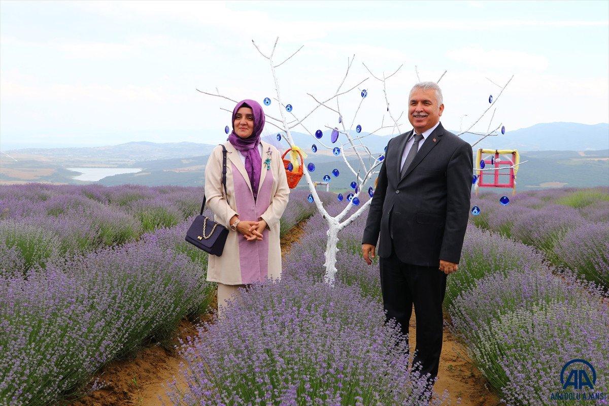 Tekirdağ Lavanta Günleri