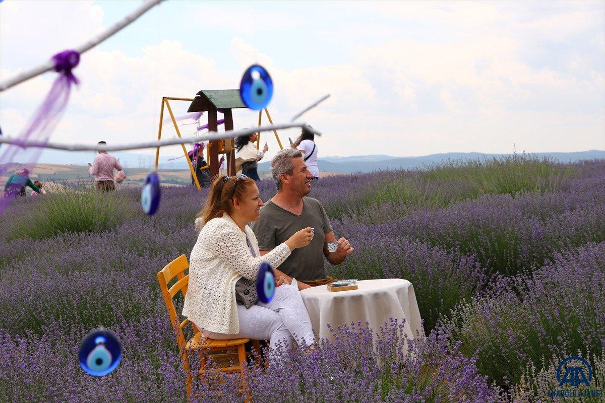 Tekirdağ Lavanta Günleri