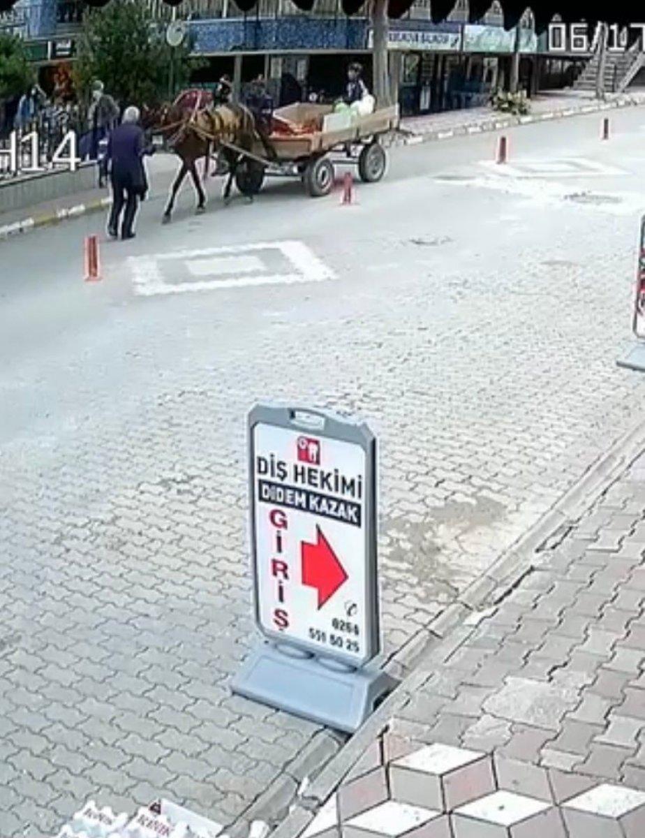 Sakarya’da 84 yaşındaki adama at arabası çarptı