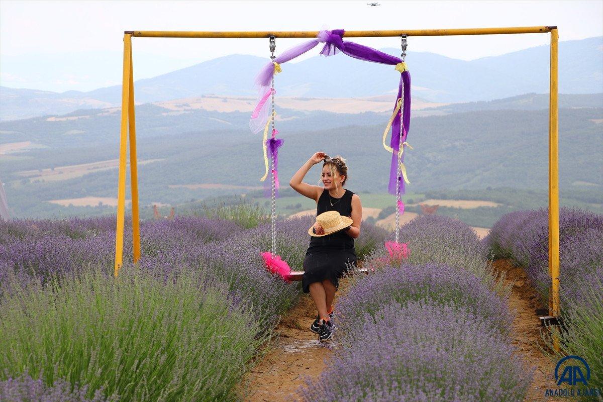 Tekirdağ Lavanta Günleri