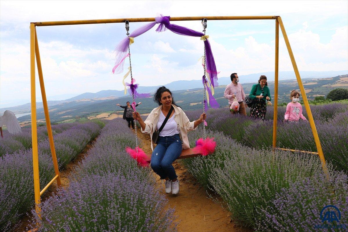 Tekirdağ Lavanta Günleri
