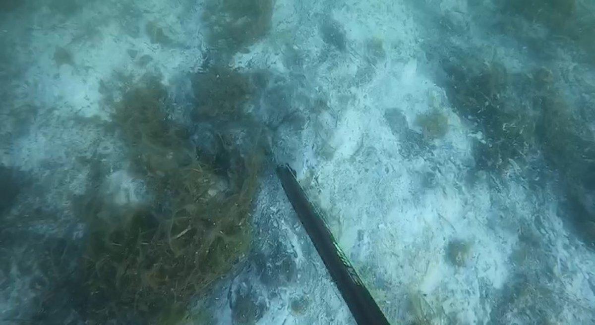 Müsilajın deniz altındaki tahribatı böyle görüntülendi