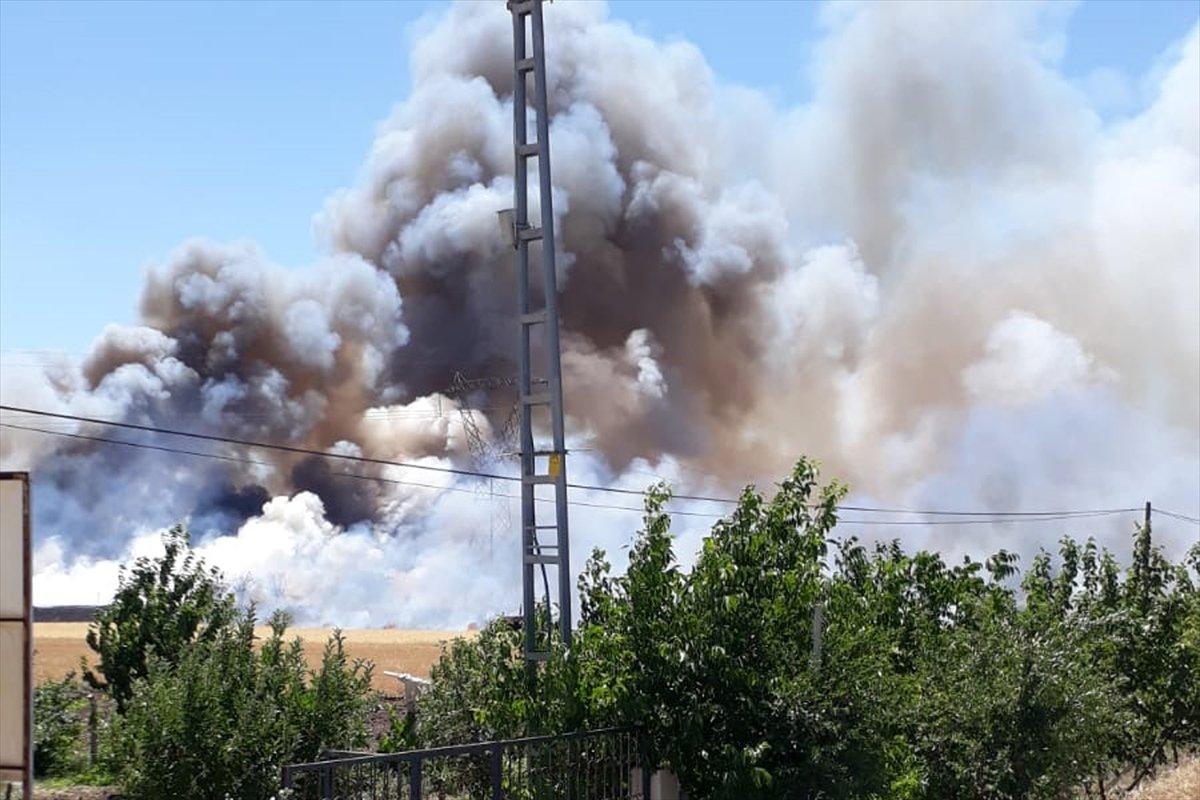 Elazığ'da 100 dönüm ekili alan yandı