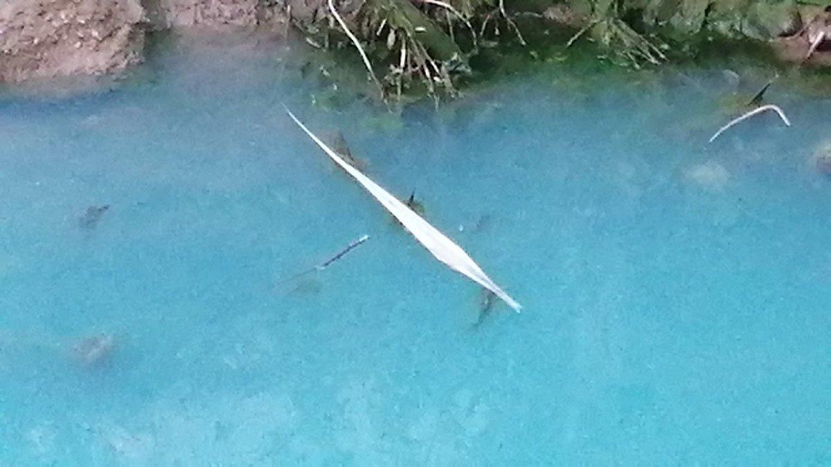 Antalya'da sulama kanalı maviye döndü