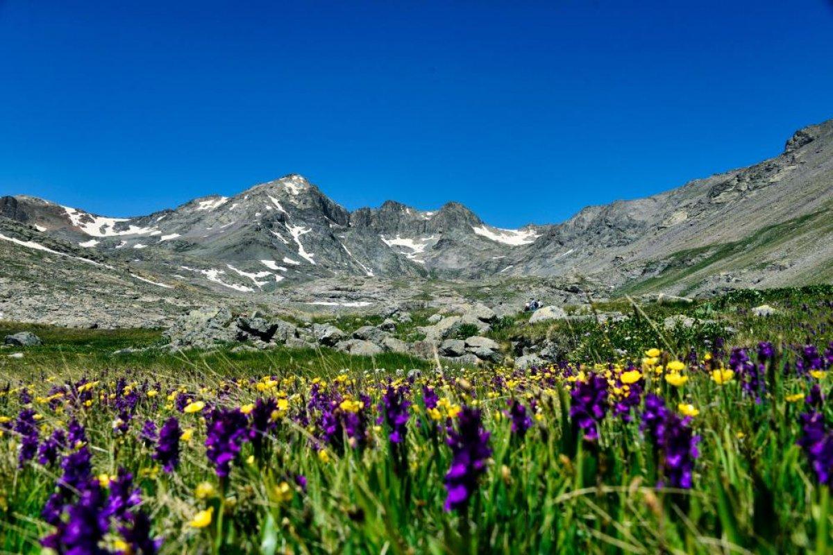 Gümüşhane Artabel Gölleri Tabiat Parkı ziyaretçi akınına uğruyor
