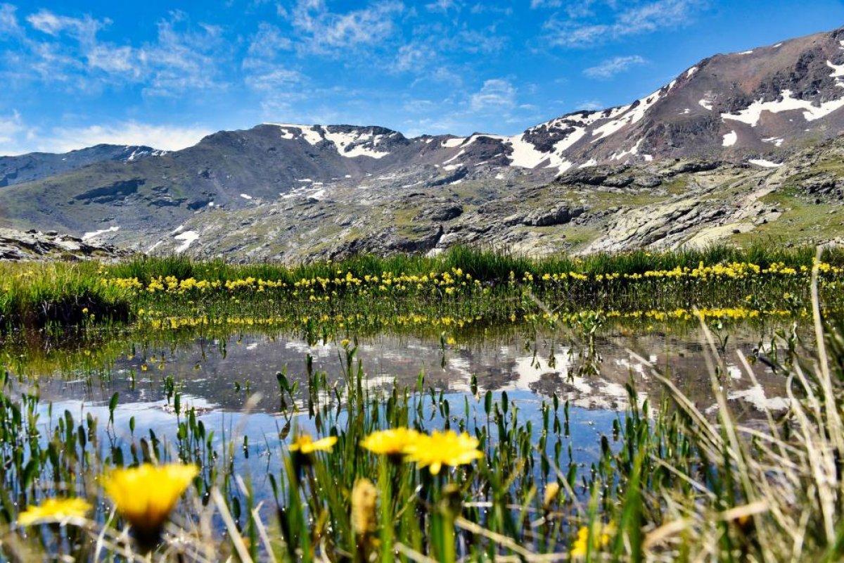 Gümüşhane Artabel Gölleri Tabiat Parkı ziyaretçi akınına uğruyor