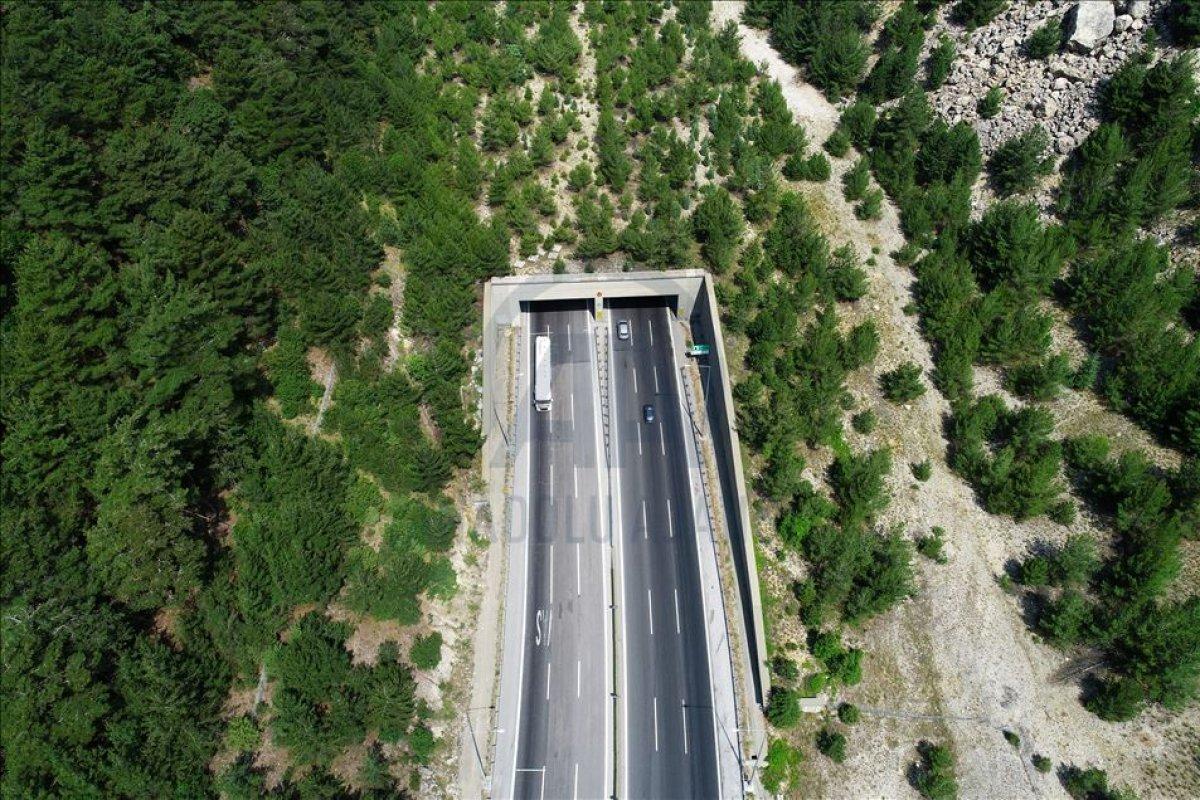 Ağaçlandırılan yollarla, yıllık 1 milyon ton emisyon azaltımı sağlandı