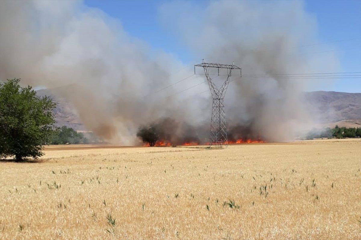 Elazığ'da 100 dönüm ekili alan yandı
