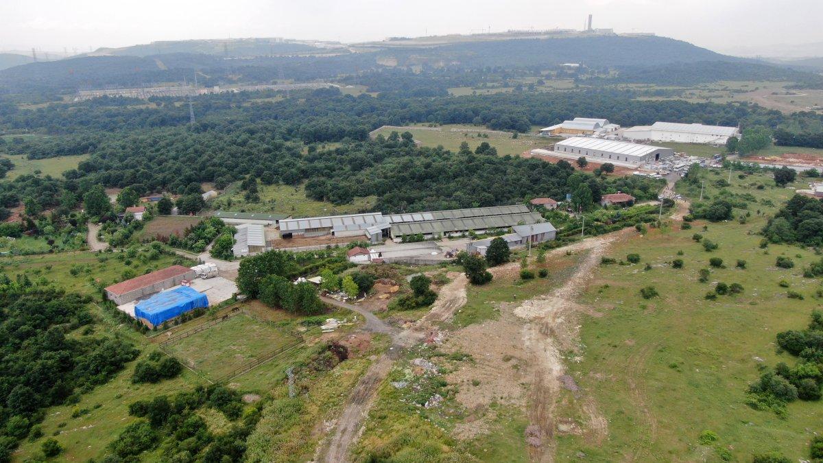 Kocaeli’de Lütfü Türkkan’ın kaçak çiftliğinde tahliye çalışmaları