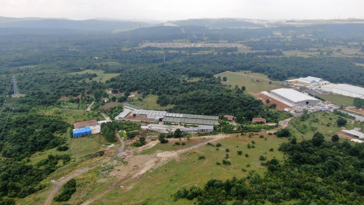 Kocaeli’de Lütfü Türkkan’ın kaçak çiftliğinde tahliye çalışmaları