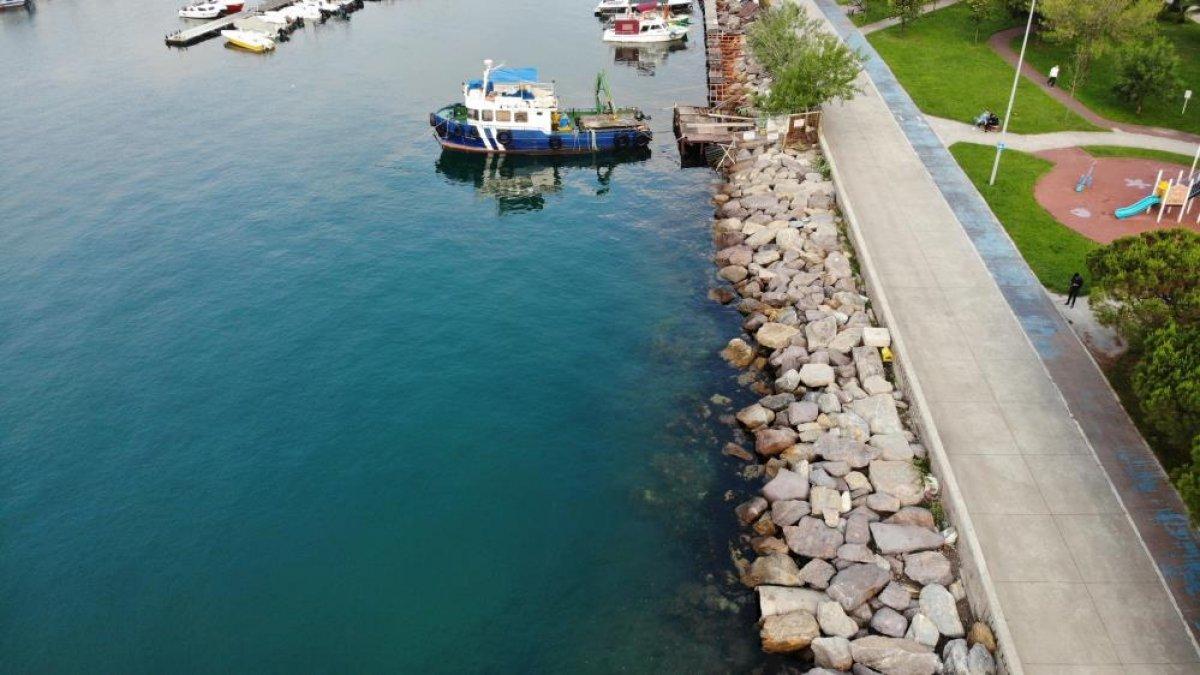 Kartal'da müsilaj temizlendi